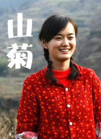 小马宝莉免费观看完整版